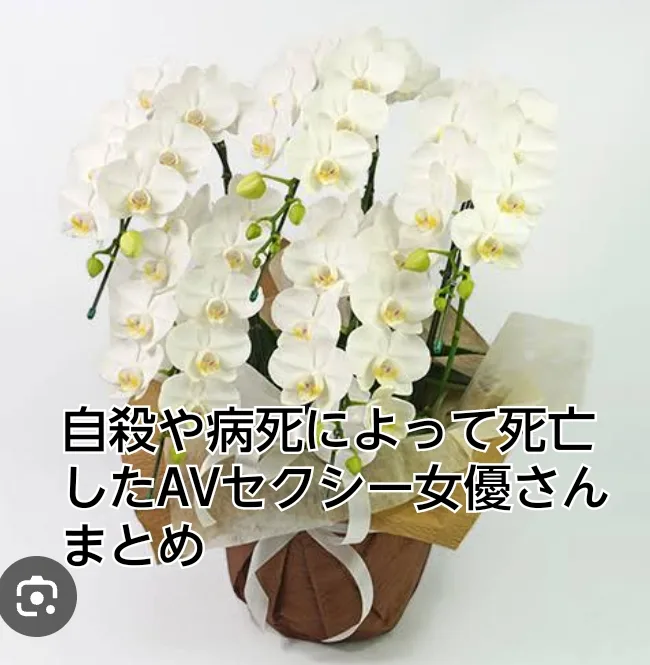 セクシー女優　AV　死亡　自殺　病死