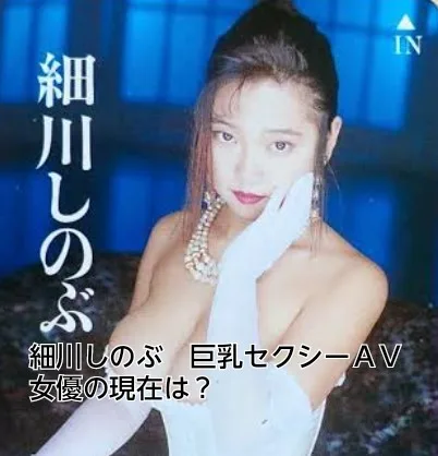 細川しのぶ　巨乳　セクシー女優　ＡＶ　現在